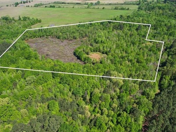 TBD CR 1143, Daingerfield, TX 75638