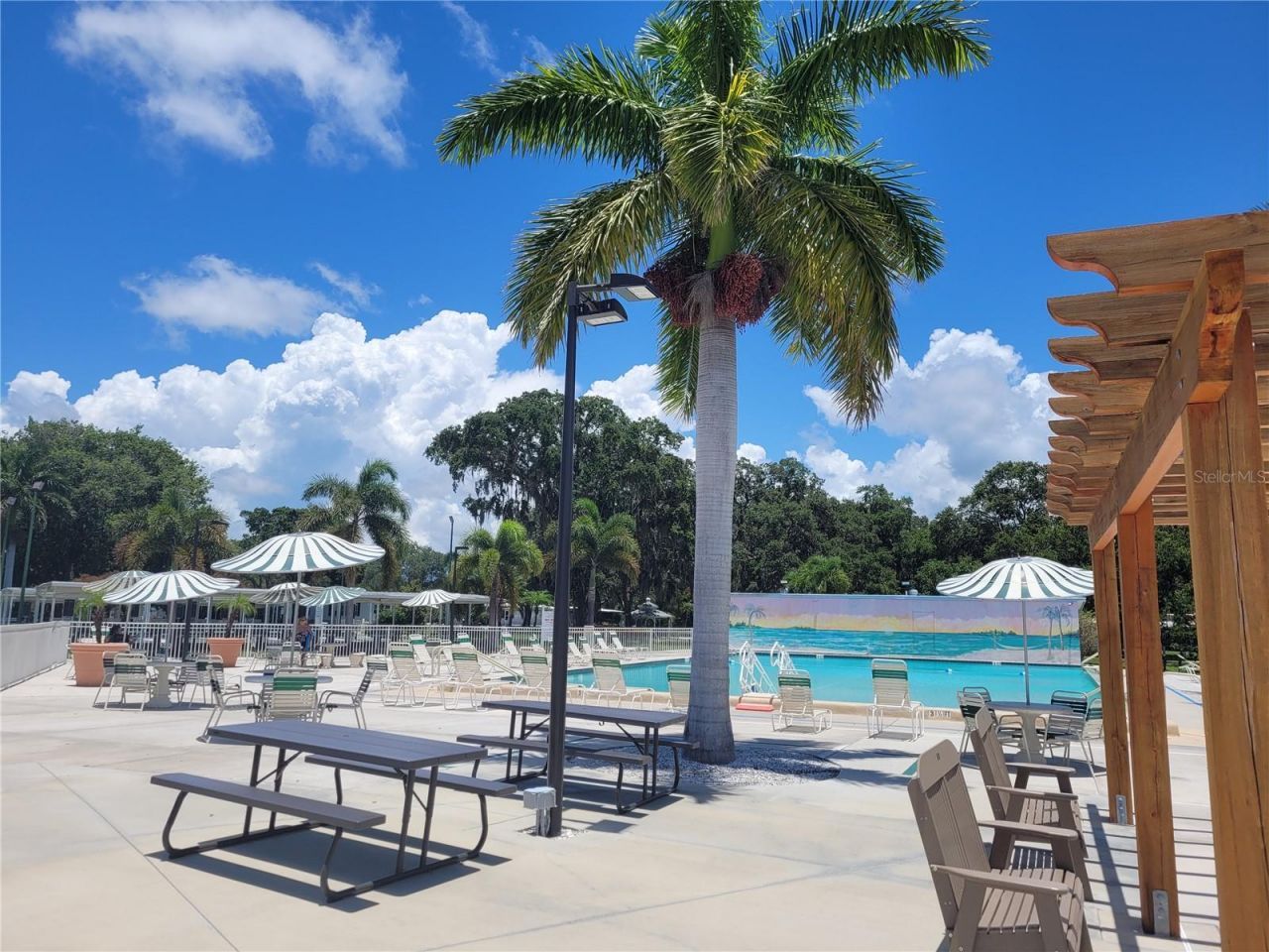 305 Oakwood Boulevard E, Sarasota, FL 34237 Photo