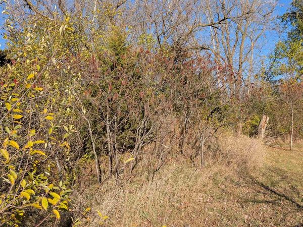 L14 Oak Road, Markesan, WI 53946