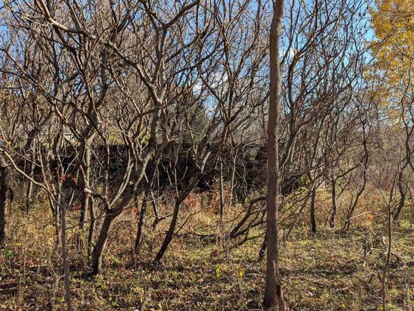 L17 Oak Road, Markesan, WI 53946