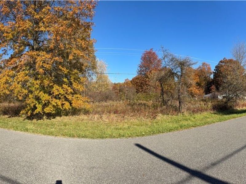 Capel Road, Grafton, OH 44044 Photo 2