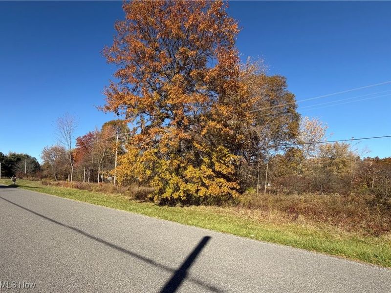 Capel Road, Grafton, OH 44044 Photo 7