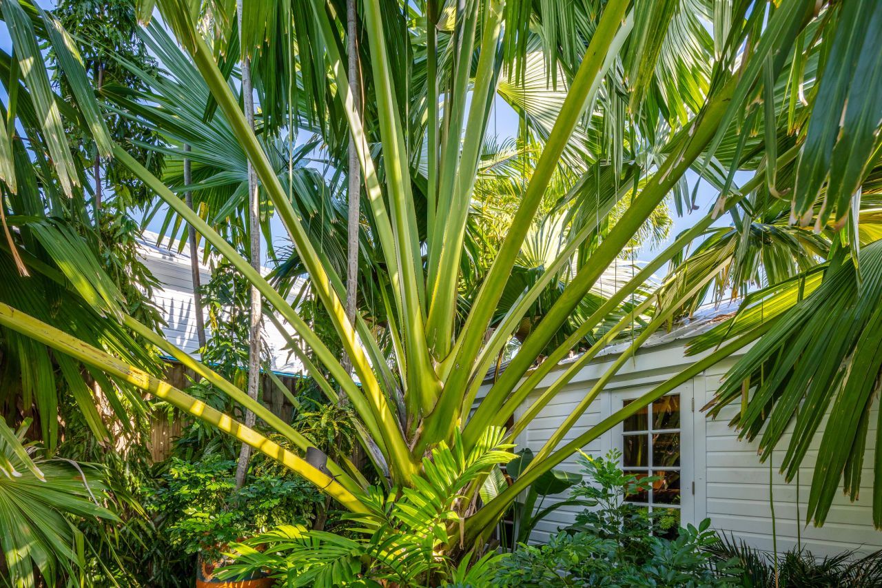 1014 Southard Street, Key West, FL 33040 Photo