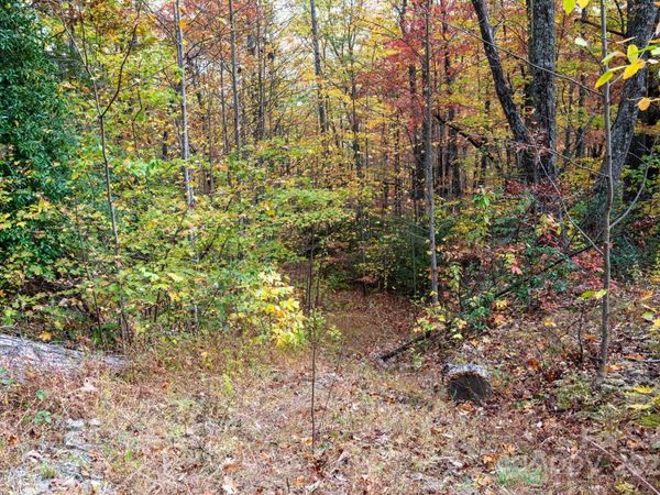 4B LOWER FLAT CREEK Road, Black Mountain, NC 28711