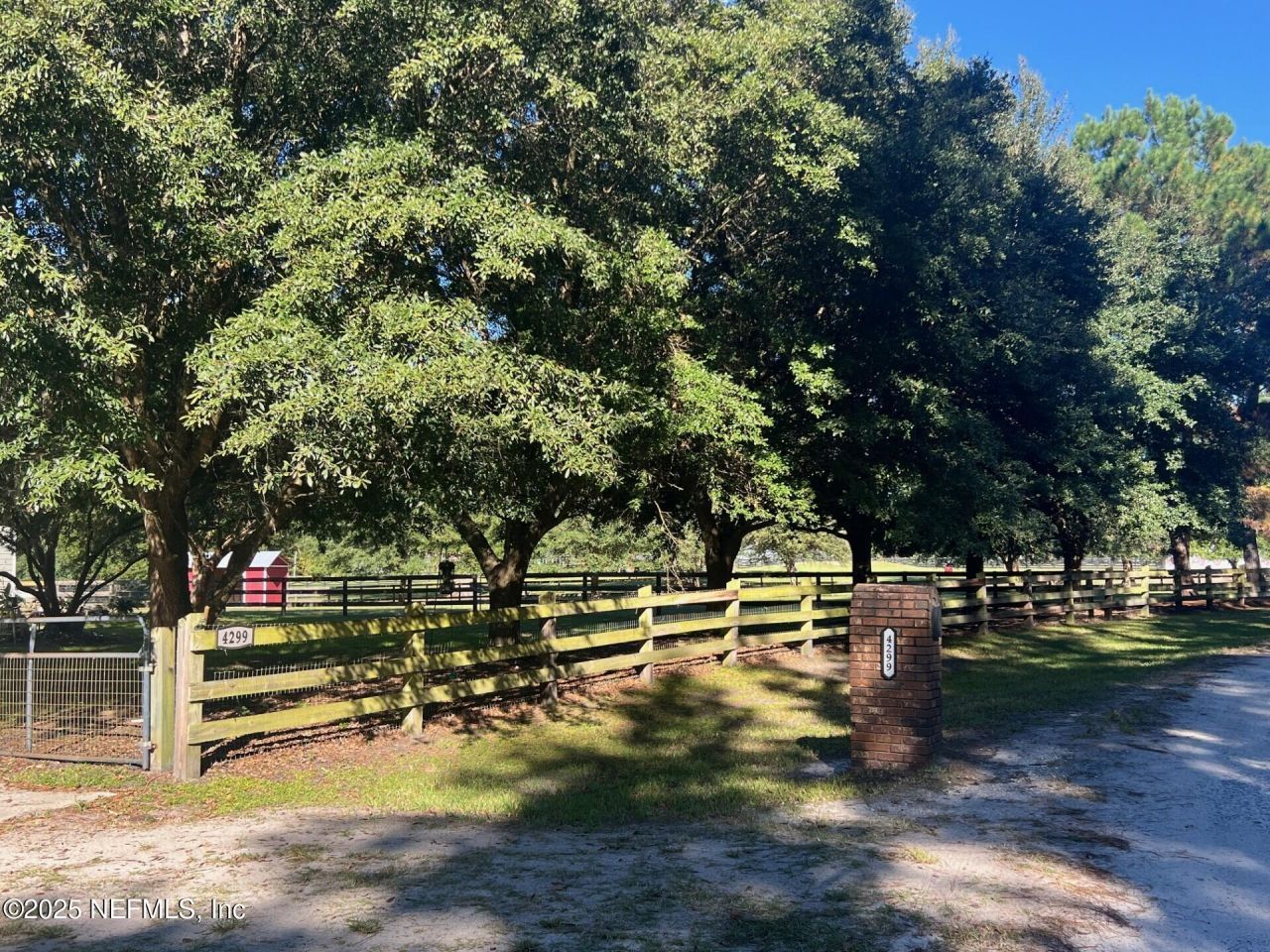 4299 Hawk Haven Road, Middleburg, FL 32068 Photo