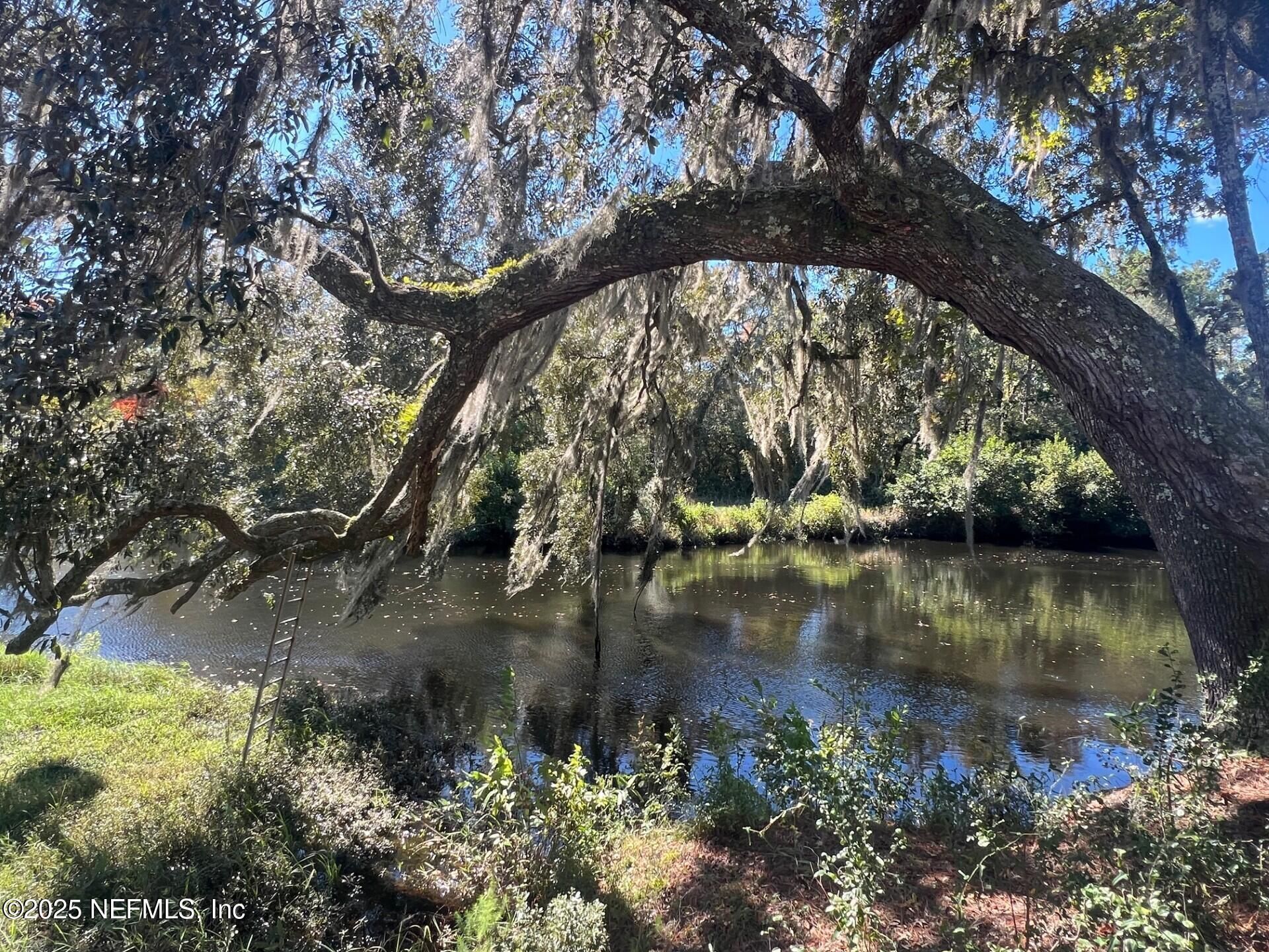 4299 Hawk Haven Road, Middleburg, FL 32068 Photo