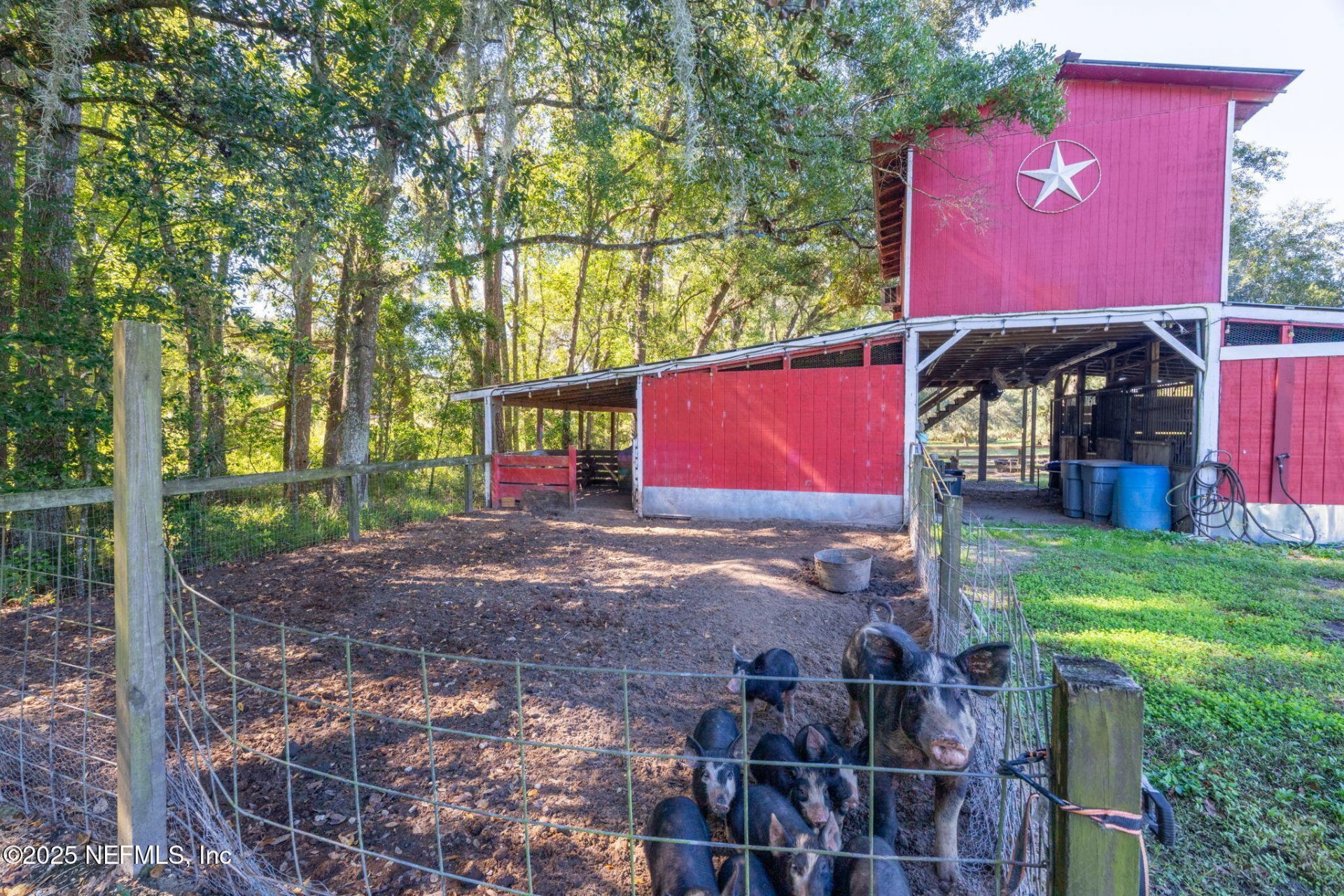 4299 Hawk Haven Road, Middleburg, FL 32068 Photo