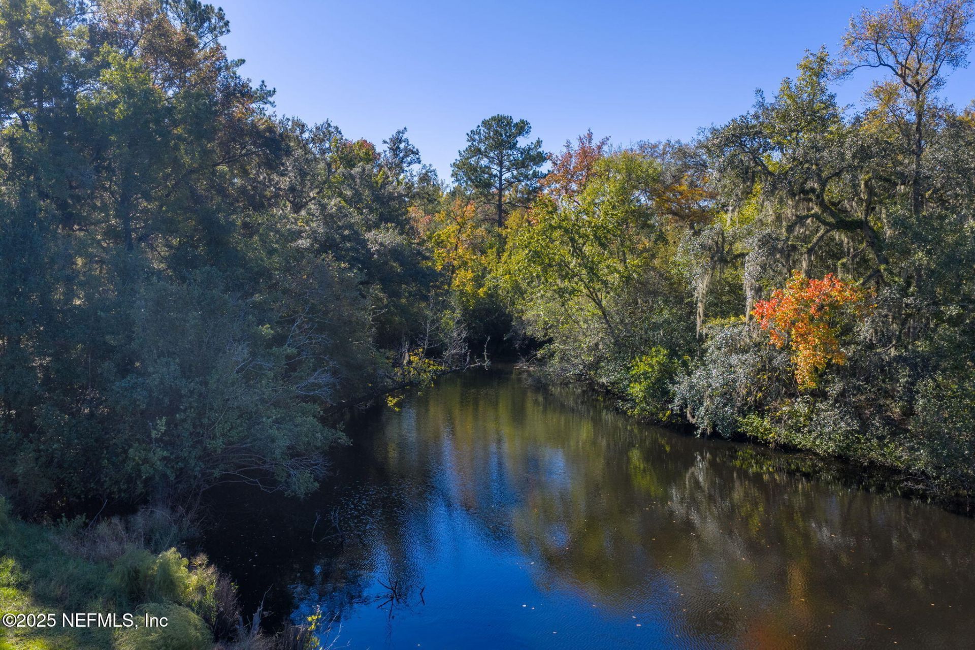 4299 Hawk Haven Road, Middleburg, FL 32068 Photo