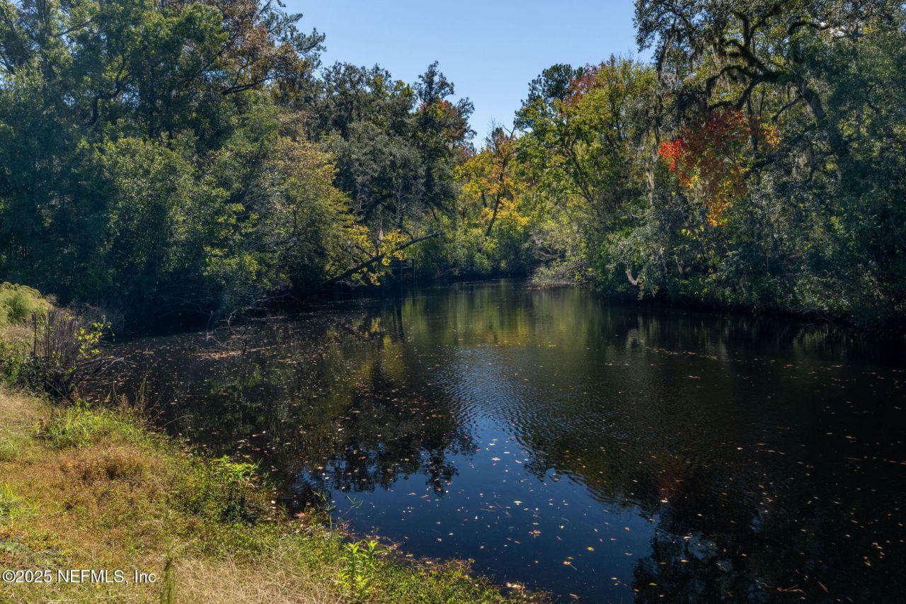 4299 Hawk Haven Road, Middleburg, FL 32068 Photo