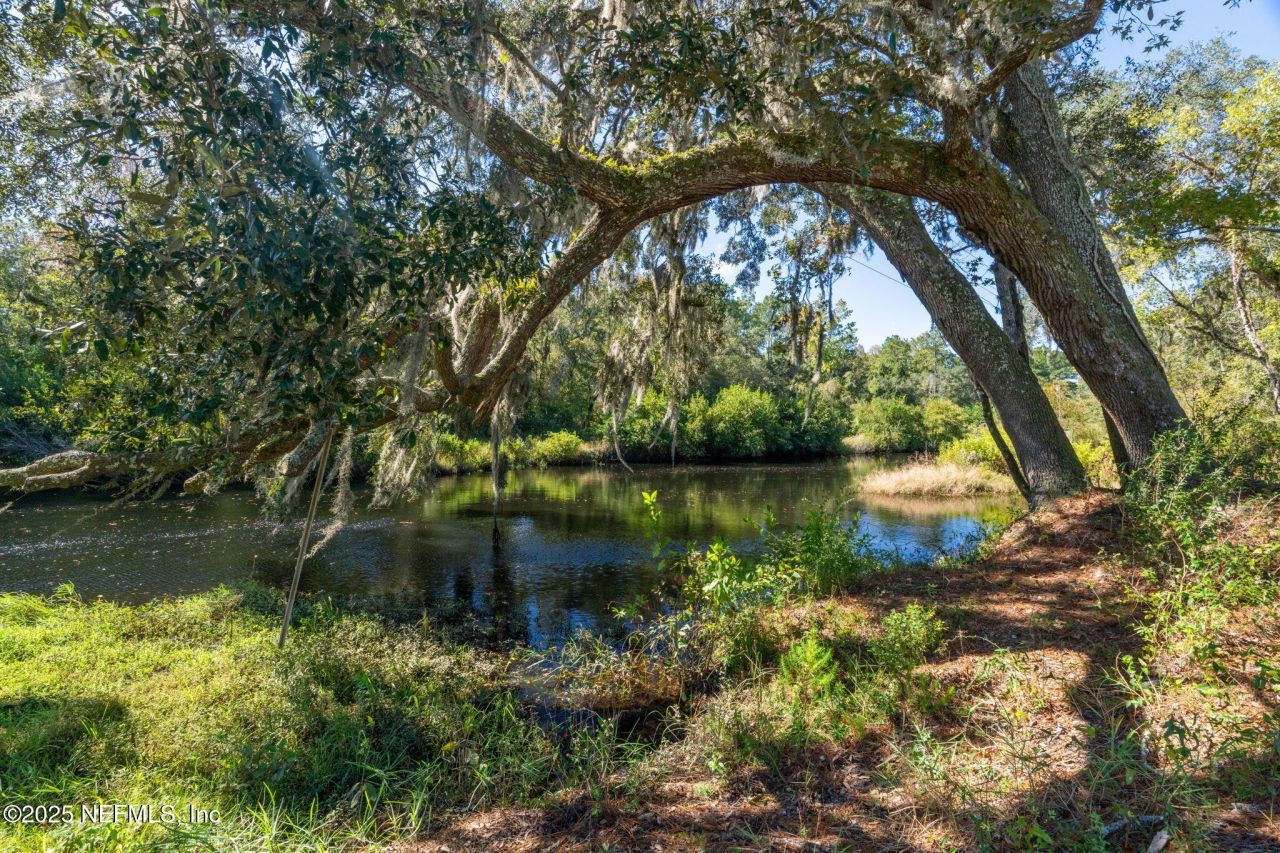 4299 Hawk Haven Road, Middleburg, FL 32068 Photo