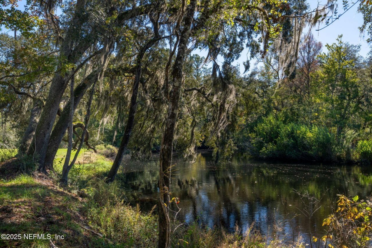 4299 Hawk Haven Road, Middleburg, FL 32068 Photo