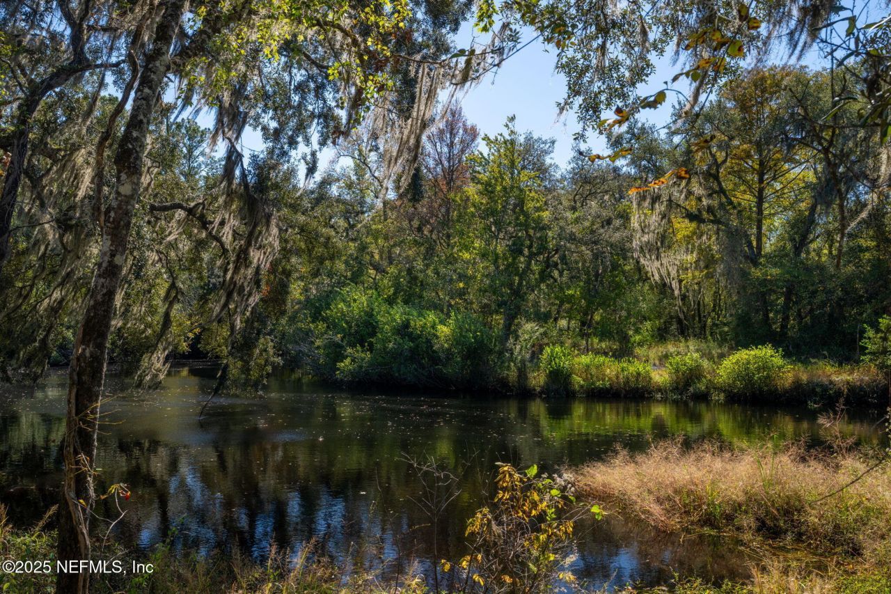 4299 Hawk Haven Road, Middleburg, FL 32068 Photo