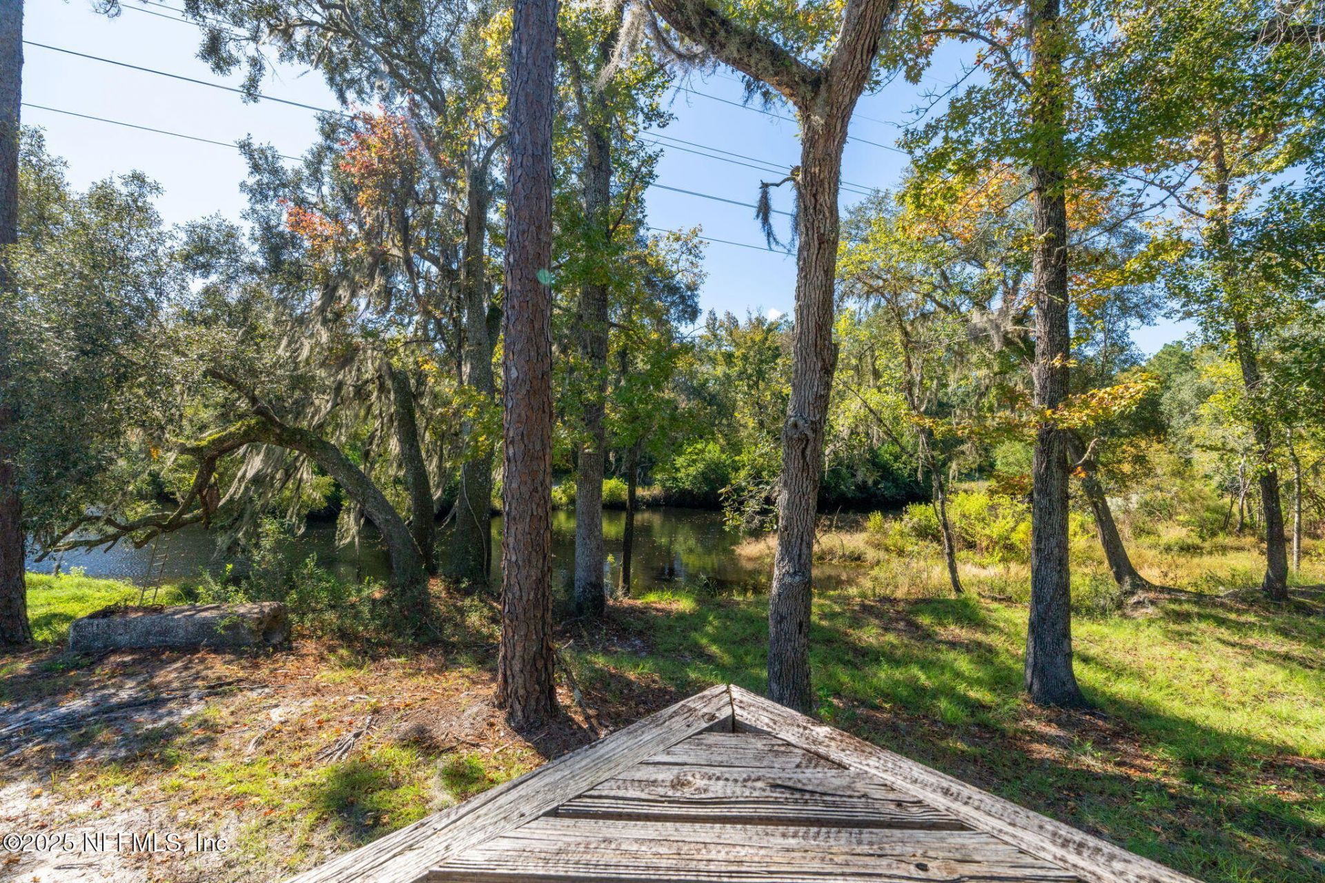 4299 Hawk Haven Road, Middleburg, FL 32068 Photo