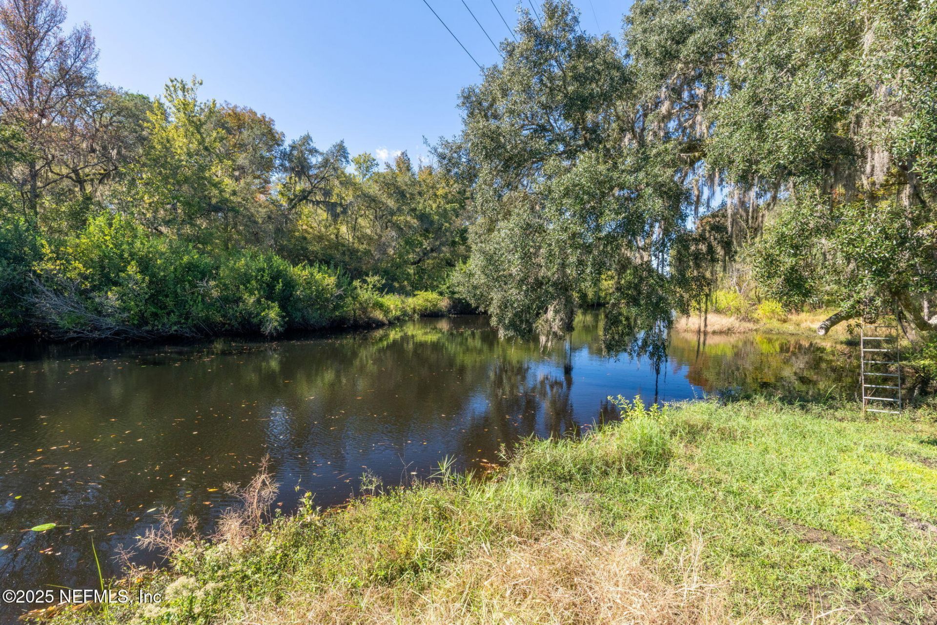 4299 Hawk Haven Road, Middleburg, FL 32068 Photo