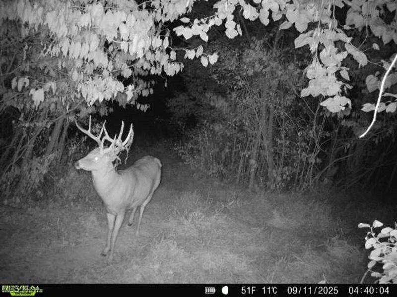 35447 County Road 99, Warsaw, OH 43844 Photo 22