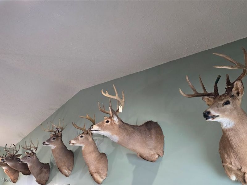 35447 County Road 99, Warsaw, OH 43844 Photo 25