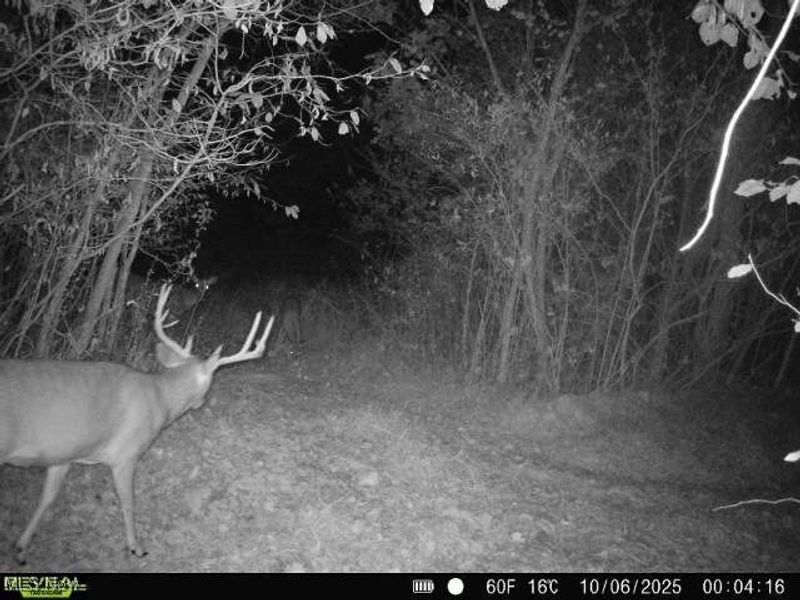 35447 County Road 99, Warsaw, OH 43844 Photo 25