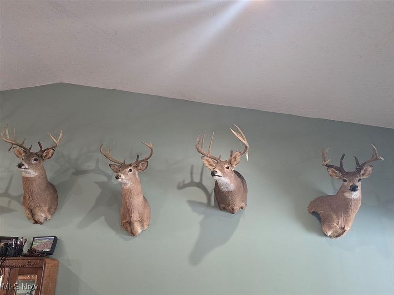 35447 County Road 99, Warsaw, OH 43844 Photo 27