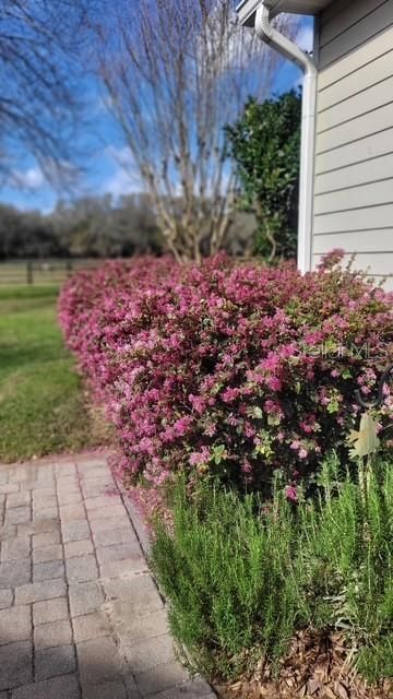 1198 SW 104th Street Road, Ocala, FL 34476 Photo