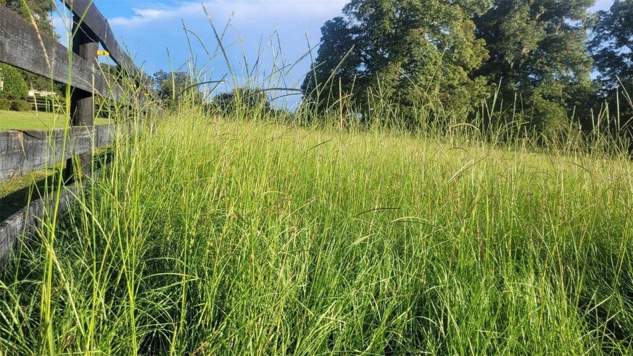 1198 SW 104th Street Road, Ocala, FL 34476 Photo