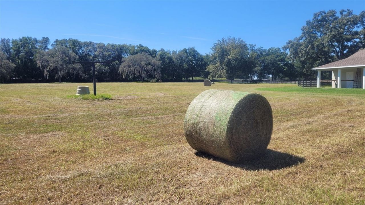 1198 SW 104th Street Road, Ocala, FL 34476 Photo