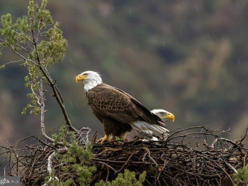 614 Graystones Jeras Rd Lot Hv-5, Albrightsville, PA 18210 Main Photo