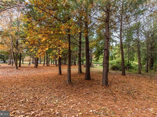 24653 MCINTURFF ROAD, DAMES QUARTER, MD 21821