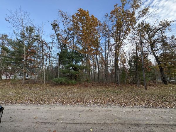 Lot #60 Francis Ave, Hillman, MI 49746