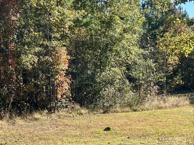 00 Saint Julian Drive, Cross, SC 29436