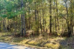 00 Saint Julian Drive photo 4