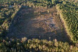 00 Saint Julian Drive photo 4