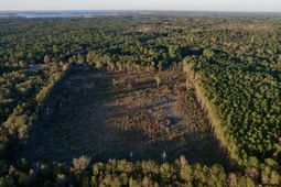 00 Saint Julian Drive photo 4