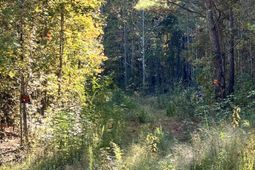 00 Saint Julian Drive photo 4