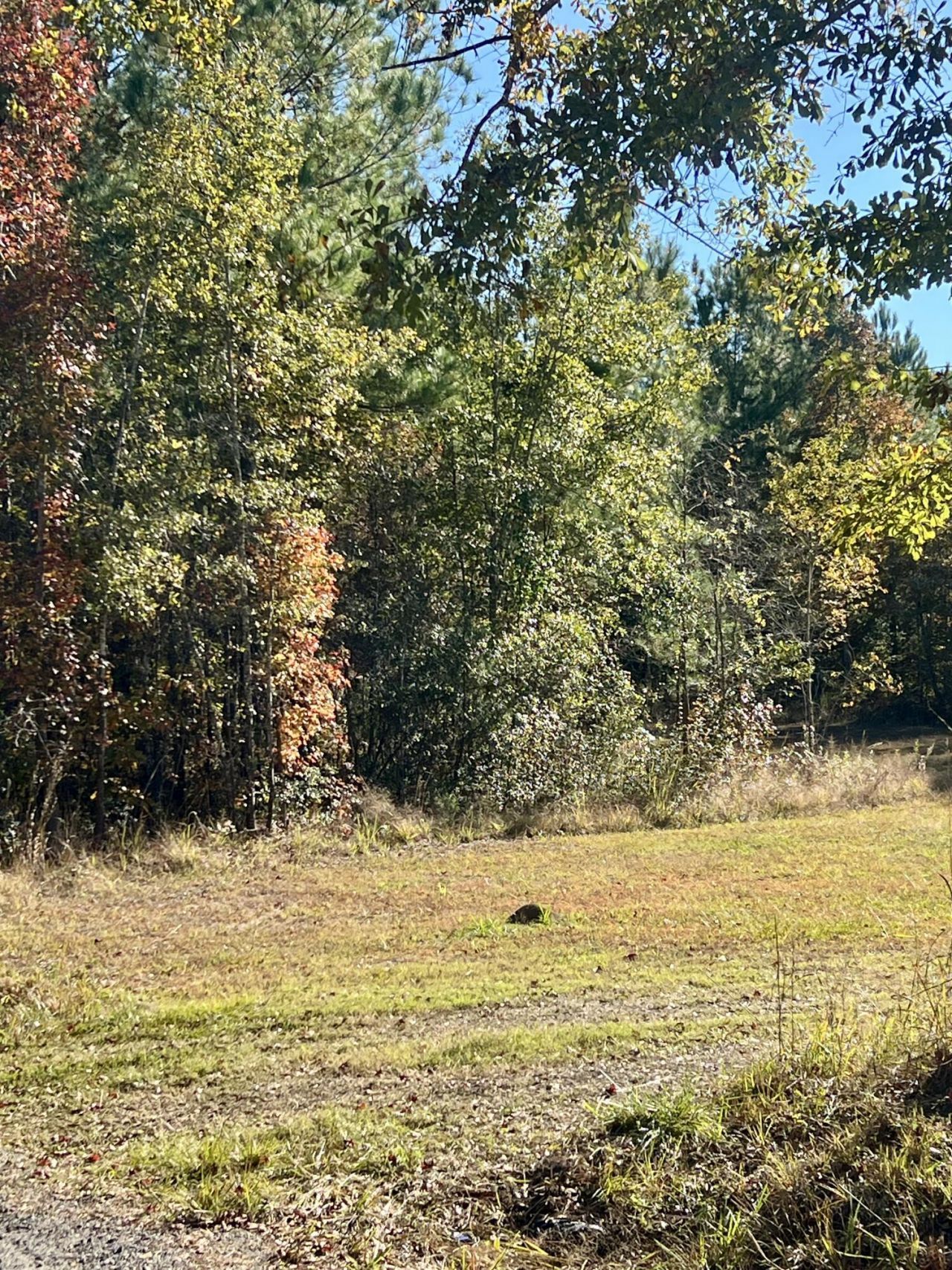 00 Saint Julian Drive Photo 4