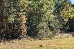 00 Saint Julian Drive photo 4