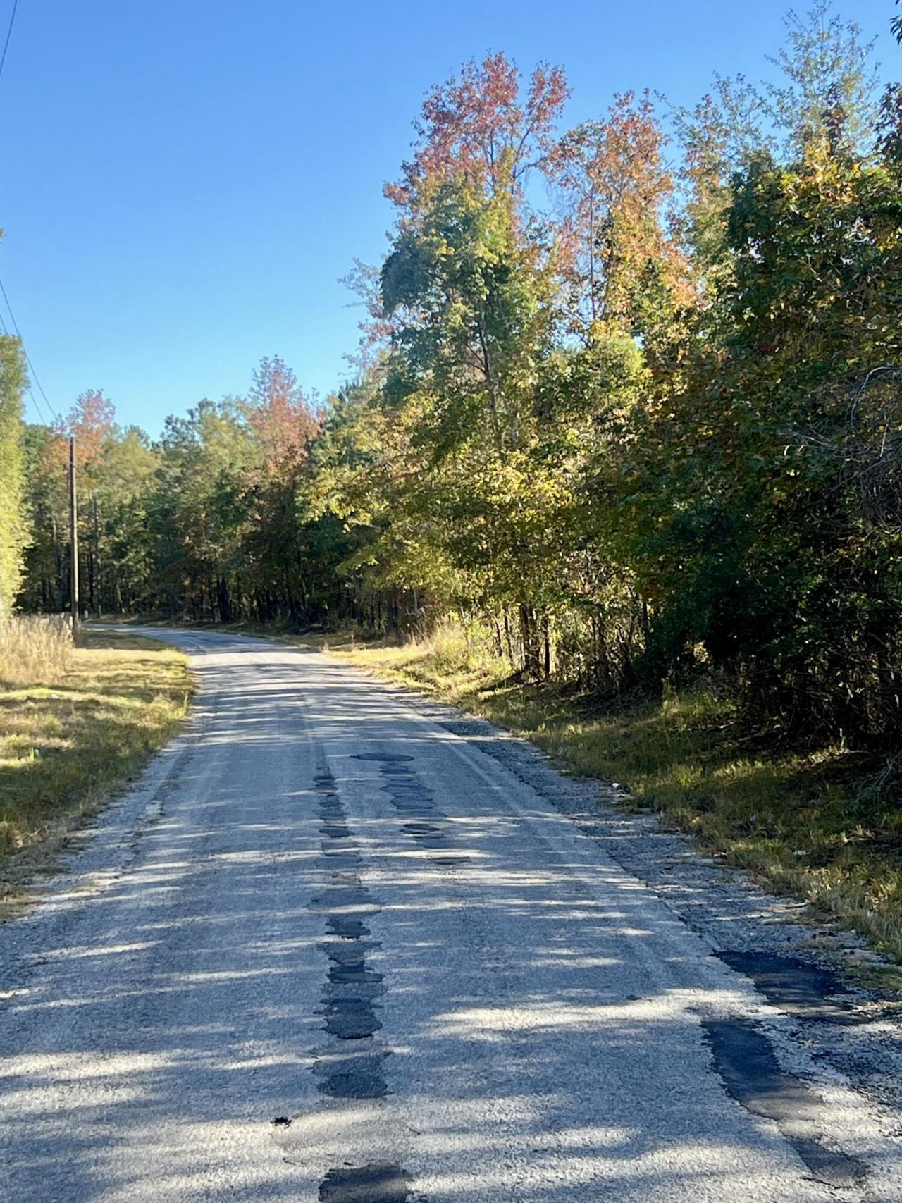 00 Saint Julian Drive Photo 5