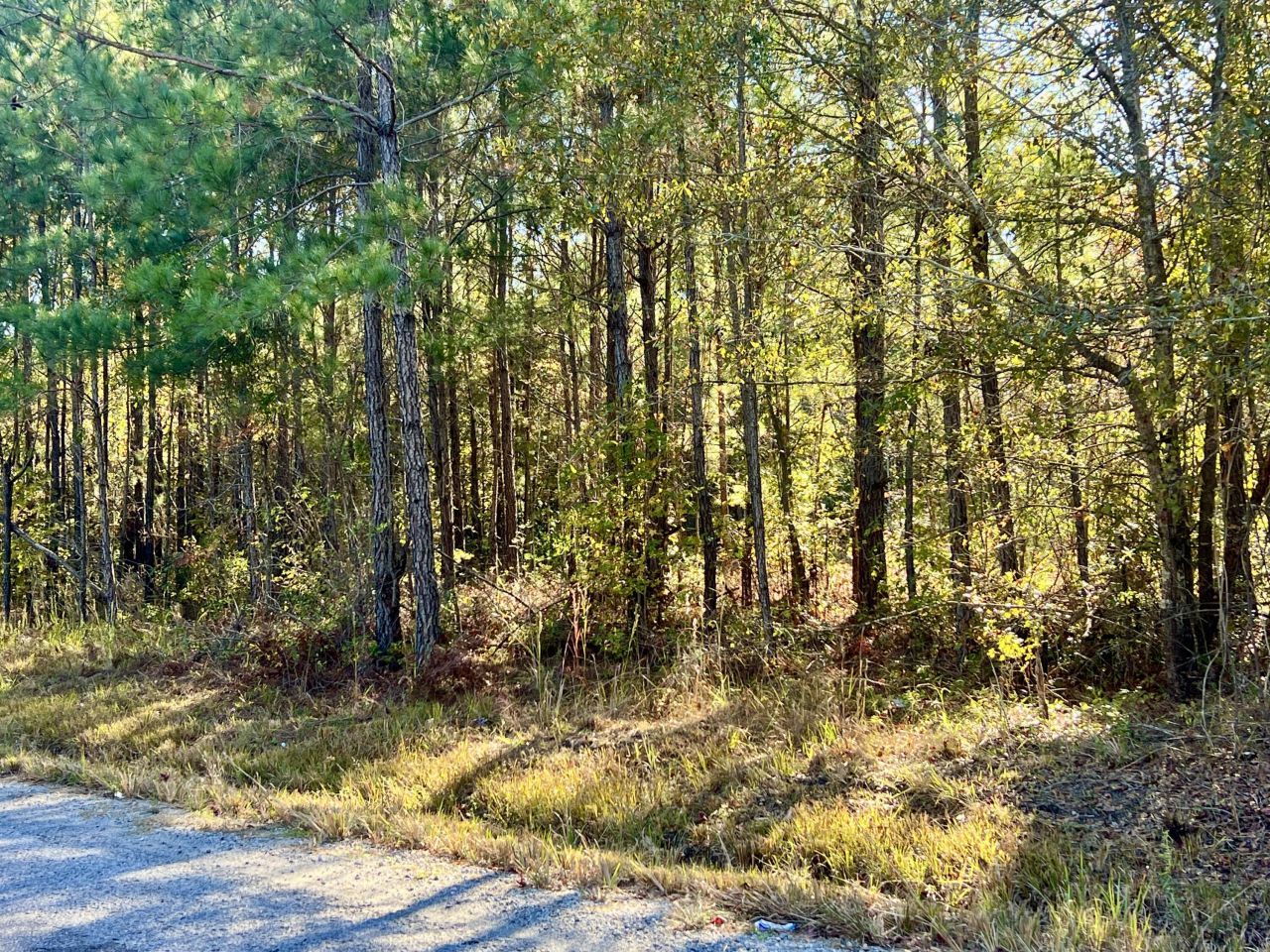 00 Saint Julian Drive Photo 5