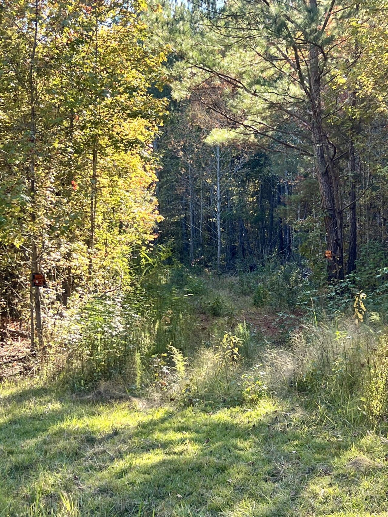 00 Saint Julian Drive Photo 7