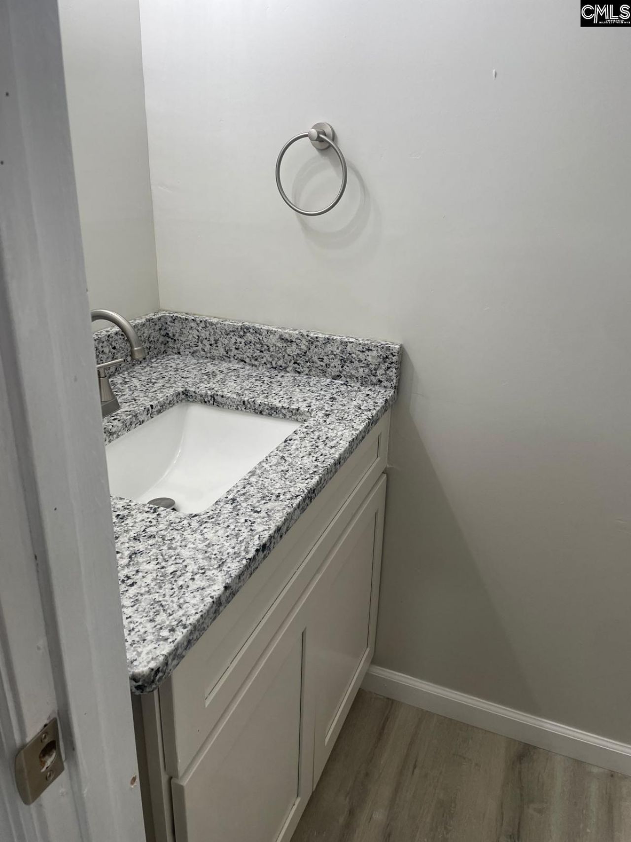 153 Lionsgate Drive  Photo 21