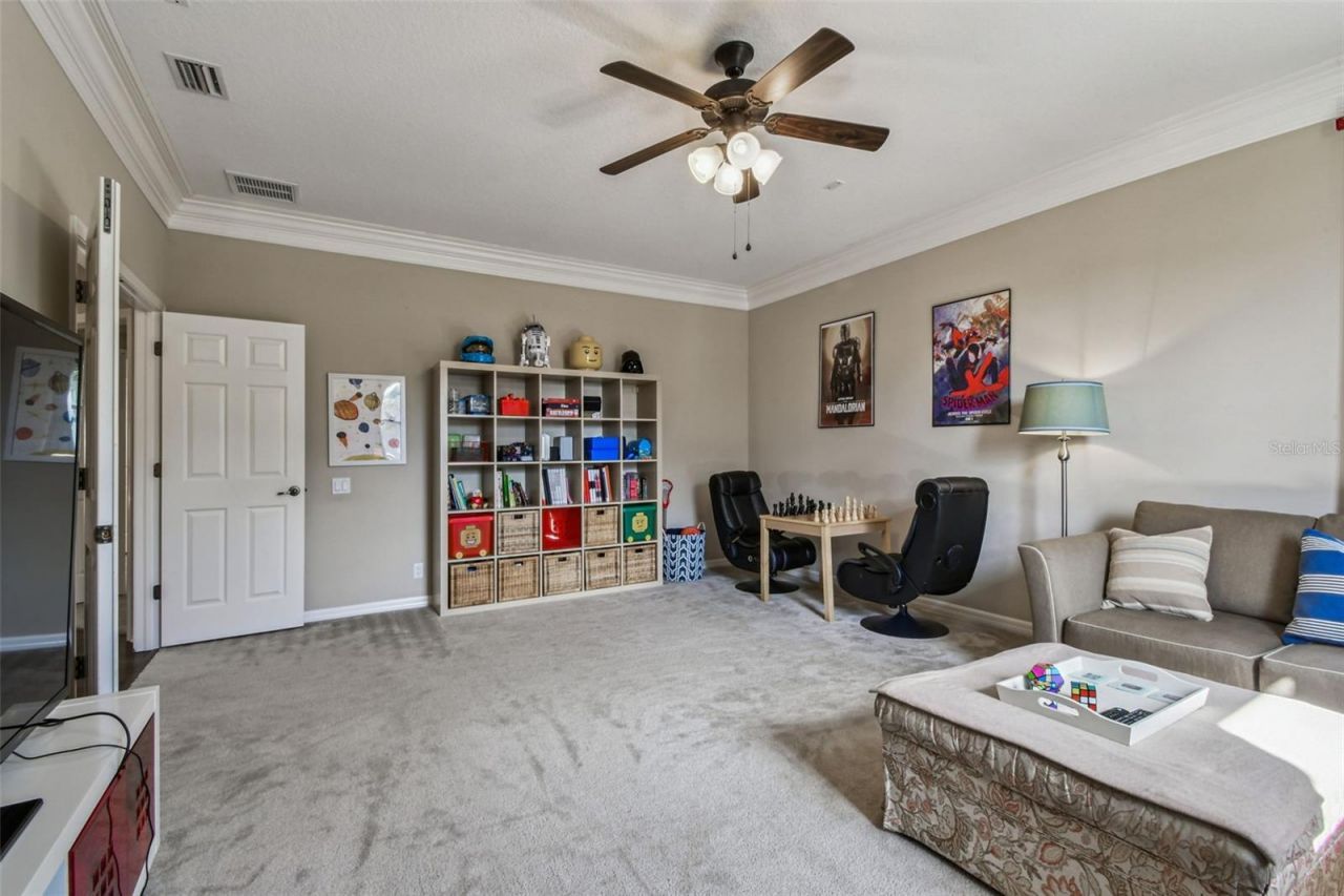 15613 N Himes Avenue, Tampa, FL 33618 Photo