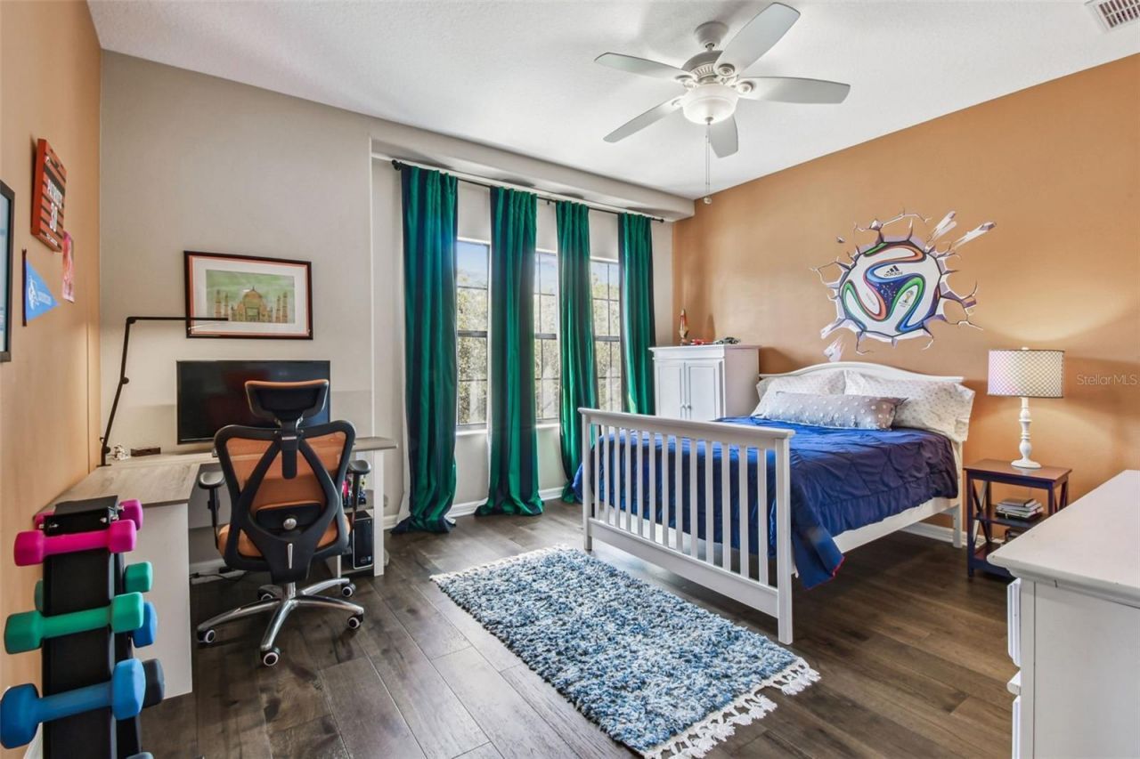 15613 N Himes Avenue, Tampa, FL 33618 Photo