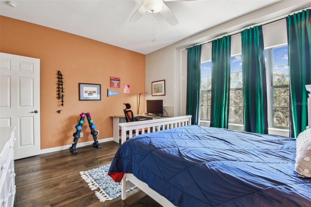 15613 N Himes Avenue, Tampa, FL 33618 Photo