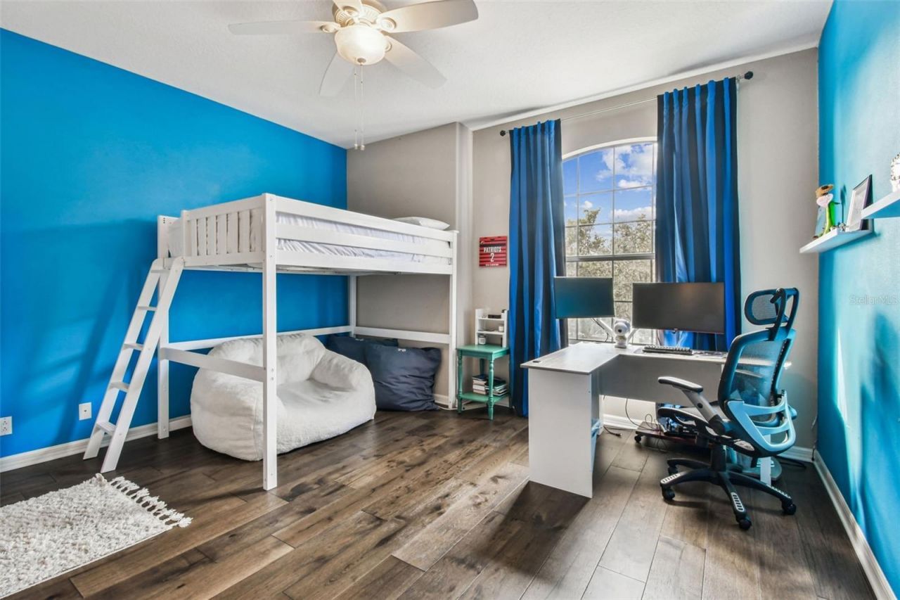 15613 N Himes Avenue, Tampa, FL 33618 Photo