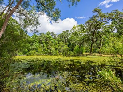 0 Thorn Chase Lane, Johns Island, SC 29455
