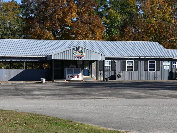 388 Yarbro Harbor Dr, Decaturville, TN 38329