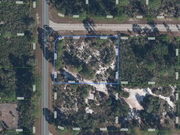 224 TOMAHAWK STREET, LAKE PLACID, FL 33852