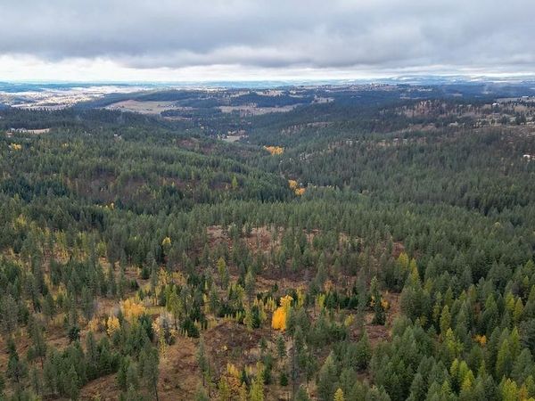 0 N Mt Carlton APN 47131.9081 Rd, Mead, WA 99021