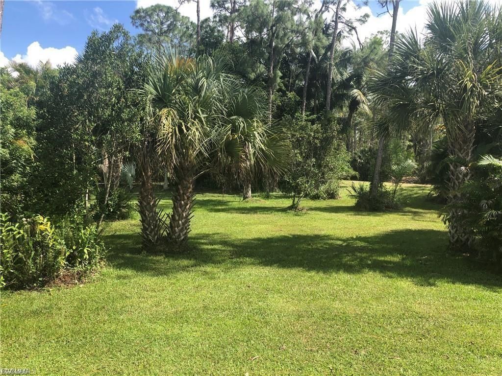 10917 Brown Pelican Cir, Estero, FL 33928 Photo