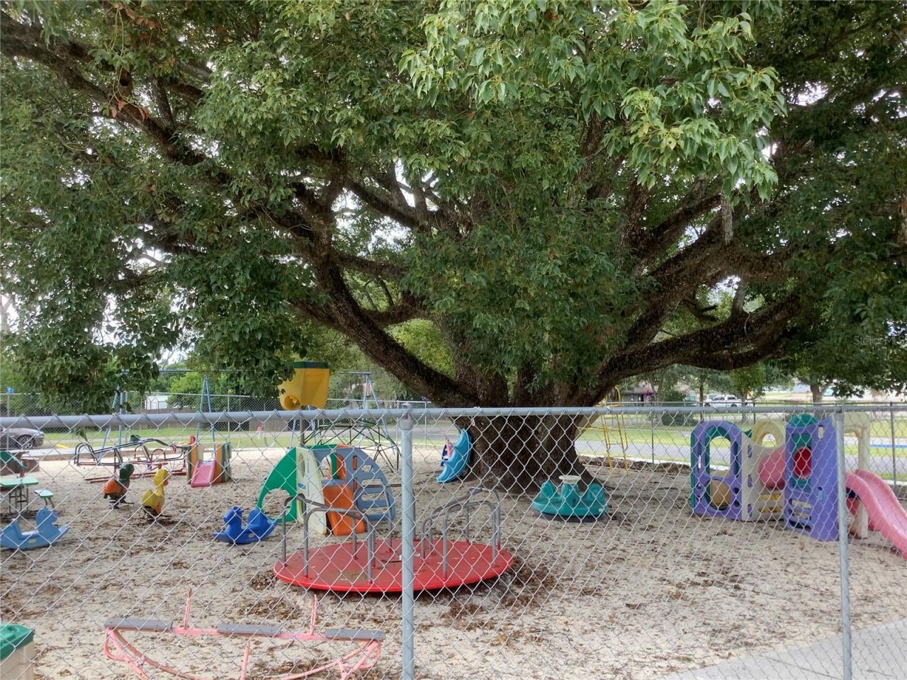 5814 8th St, Zephyrhills, FL 33542 Photo