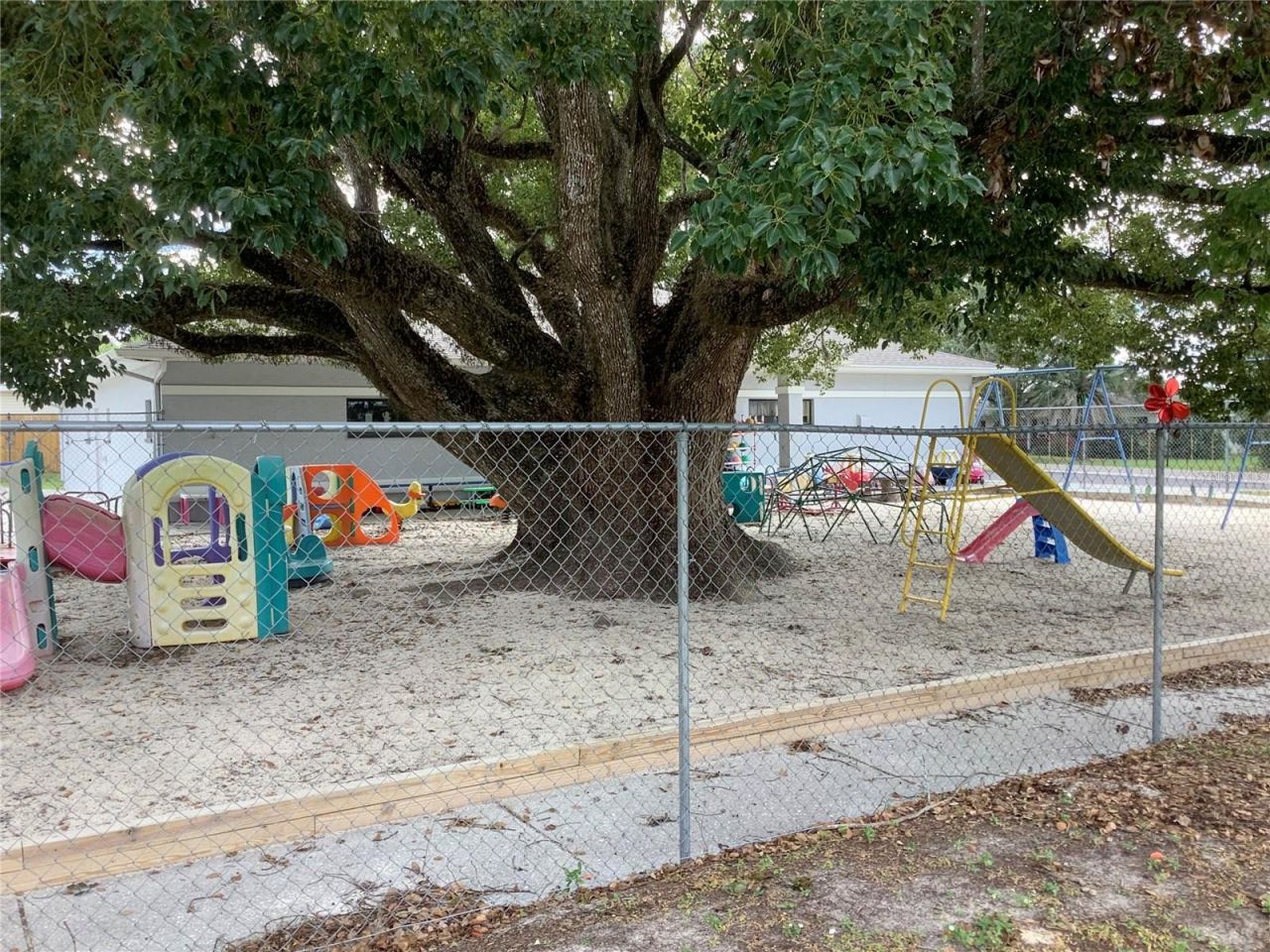 5814 8th St, Zephyrhills, FL 33542 Photo